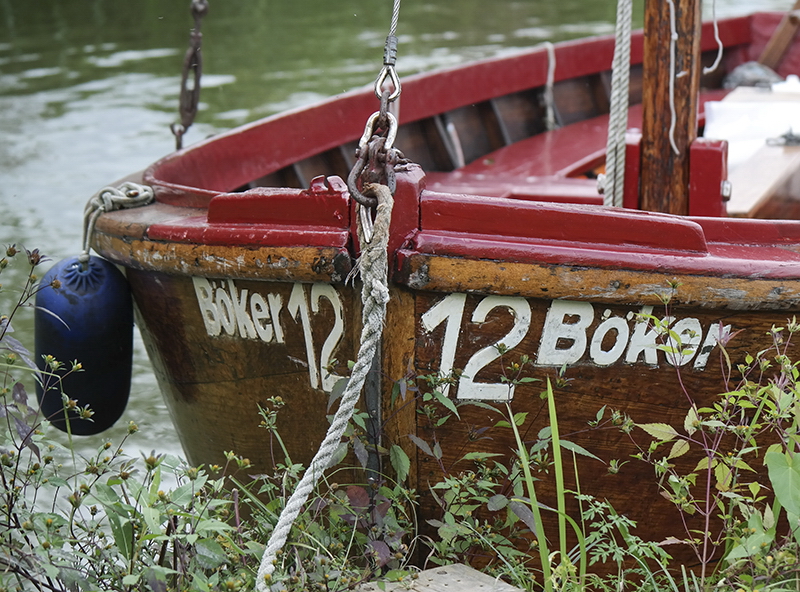 Mecklenburgische Seenplatte SAM_4634 Kopie.jpg